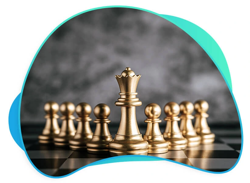 About Soft Groww Company