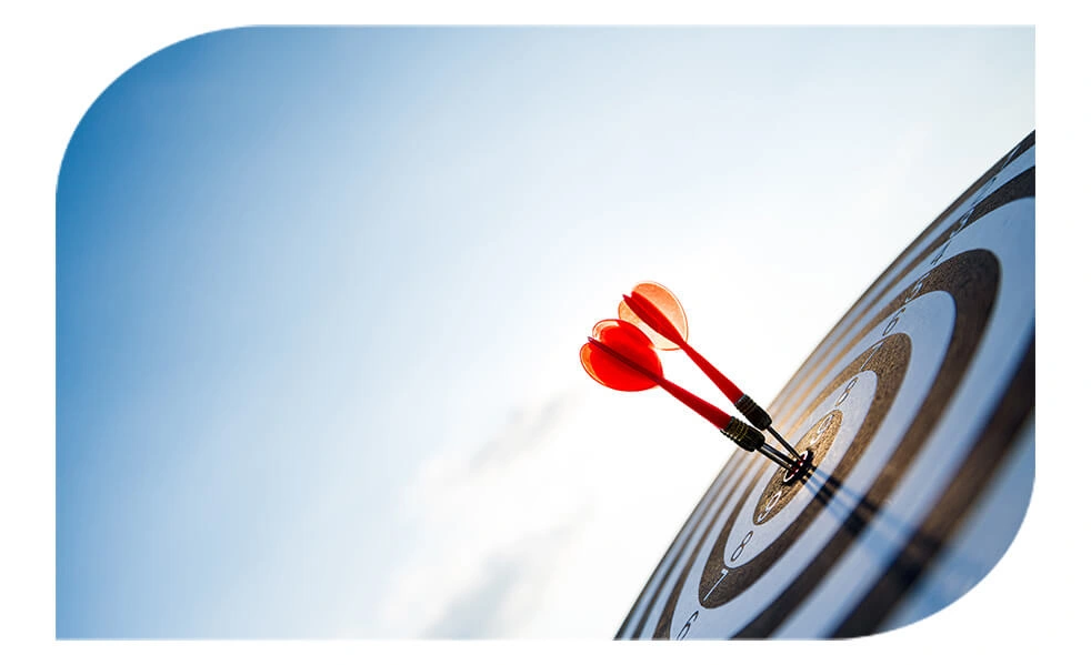 About Soft Groww Company