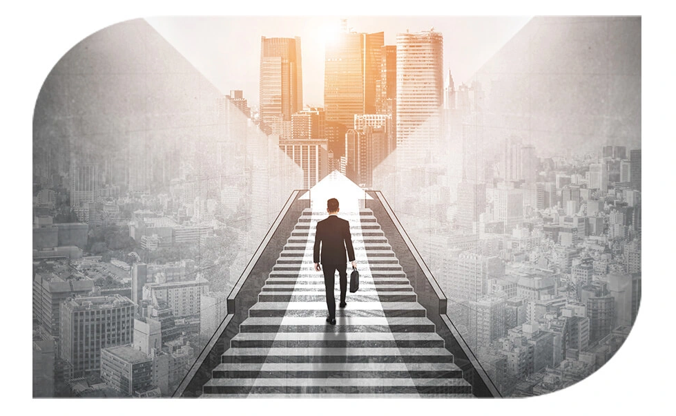 About Soft Groww Company