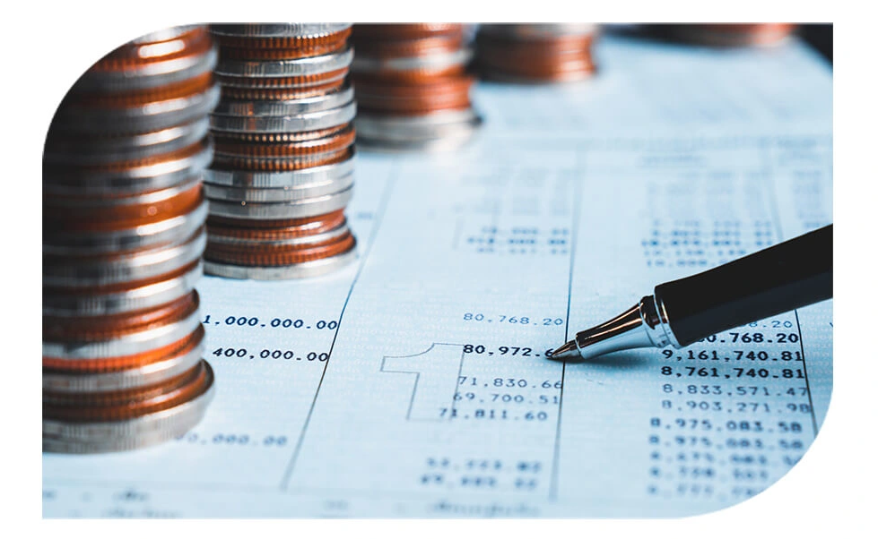 About Soft Groww Company